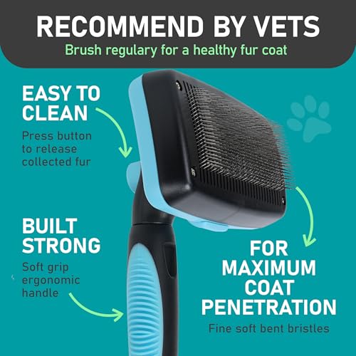 Maxpower Planet Dog Rake and Brush Set for Shedding, Undercoat & Mats | Deshedding Tool, Detangling, Self-Cleaning Design, Medium & Long Hair, For Cats Too, Gentle Grooming - color: A - Rake & Brush (Best Value), size: Large