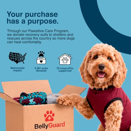 Dog Surgery Recovery Suit, Male Female After Spay Neuter Onesie | Soft Breathable Cotton, Anti-licking Cone Alternative, Protects Stitches & Abdominal Wounds, Patented Clip-up Potty System - color: Blue, size: Small