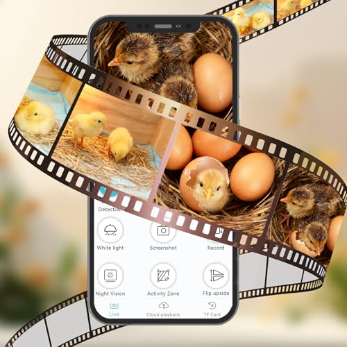 Chicken Brooder Box with Camera : 2.5K HD 5G Chicken Watching Camera, Adjustable Temperature Control Brooder Box for Small Chicks, Ducks, Quails, Idea Gift Christmas (15.7x12x12 Inches) ﻿