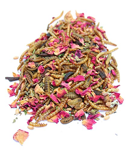 All Natural Mealworm and Herb Treat for Backyard Chickens, Healthy Backyard Chicken Feed and Supplies, BEE A Happy Hen (8 pounds) - size: 8 Pound (Pack of 1)