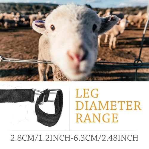 Adjustable Goat Hobbles Binding Tool Nylon Goat Milking Hobbles Goat Milking Supplies Black Goat Binding Tool Goat Banding Kit for Milking Goat Mini Goat Nigerian Dwarfs Nubian Goats