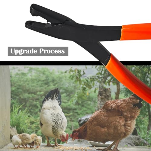 Upgraded Chicken Leg Bands Pliers – Leg Rings Pliers, Chicken Zip Wing Bands & Leg Band Application Plier For Poultry, Chickens, Ducks, Quails (Orange)