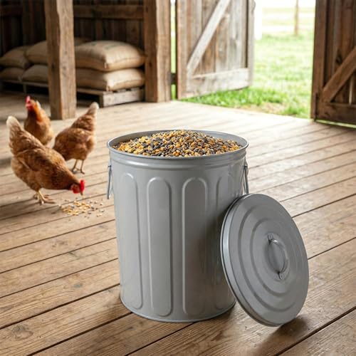 Plexon 5 Gallon Small Metal Trash Can with Lid Outdoor Galvanized Steel Bucket with Lid 5 Gal Storage Can for Dog Food Bird Seed Storage Container, Gray - color: Gray