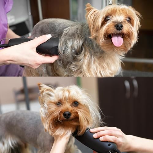 Detachable A Series 3 3/4 Skip Tooth Blades for Dog Grooming Cut Length 1/2" - 13mm -Skip Tooth Japanese Carbonized Steel Skip Tooth Clipper Blades Compatible A5 Series(3 3/4SK) - color: 3 3/4 (1/2" or 13mm) Skip Tooth