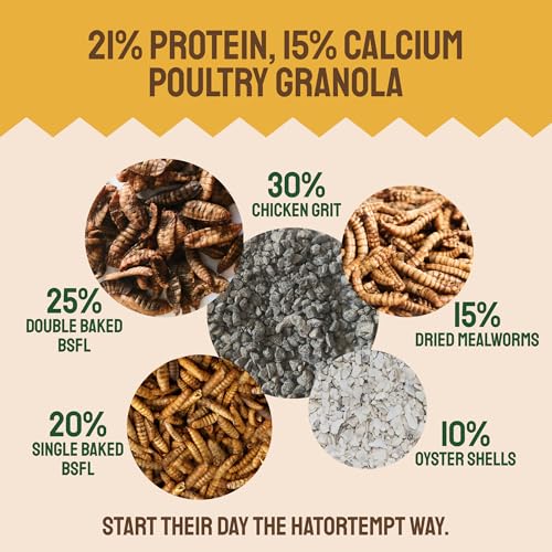 Hatortempt 10lb Grubs & Grits Chicken Treats, High-Calcium Chicken Feed | Chicken Grit, Oyster Shell, Black Soldier Fly Larvae & Mealworms for Chickens - Hand Inspected Chicken Food - Balanced Diet - size: 10 Pound (Pack of 1)