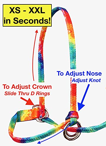 Extra Small - Sheep, Goat, Small Calf Adjustable Halter & Lead USA 250-700bs (Neon Hot Pink)