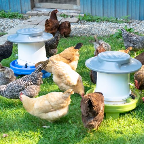 American Home Self-Filling Farmstead Chicken Drinker, Waterer, Feeder Automatic Chicken Coop Water and Feed Dispensers, 5 Gallon Capacity (Bucket Not Included), Weather-Resistant Design - size: Bundle