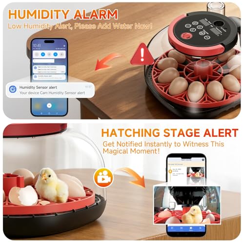 Full Automatic Egg Incubator WiFi with Camera, Automatic Egg Turner, Humidity and Temperature Control, APP Notification, Egg Candler, Smart Incubators for Hatching 12 Eggs, Chicken, Pigeon and Quail