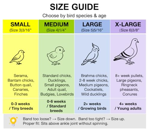 100PCS Baby Poultry Leg Bands, Soft Elastic Chicken Leg Rings for Identification, Comfort Fit for Chicks Ducklings Bantams Pigeons Parrots Canaries and Small Birds (Large (Size 5) 5/16”) - size: LARGE (Size 5)5/16”