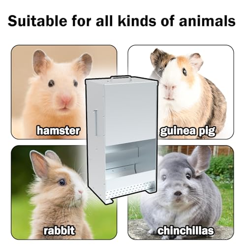 Metal Rabbit Feeder, 5-Pound Capacity Rabbit Feeder, Outdoor Small Animal Feeder for Rabbits, Chicks, Cats, Guinea Pigs, Free Large Capacity Small Animal Water Bottle