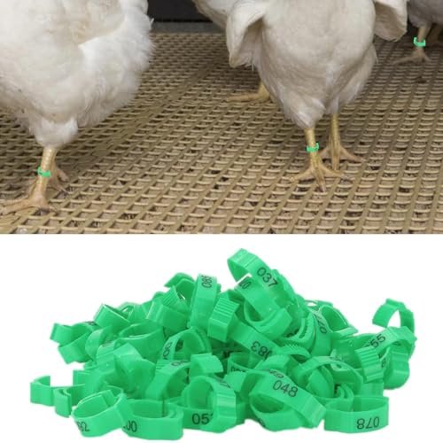 100PCS Chicken Leg Rings, Poultry Leg Bands 5 Colors Numbered Chicken Identification Leg Bands Rings Card Slots Design Poultry Leg Tags for Chicks Ducks (Green (100 Pieces per Pack)) - color: Green (100 Pieces Per Pack)