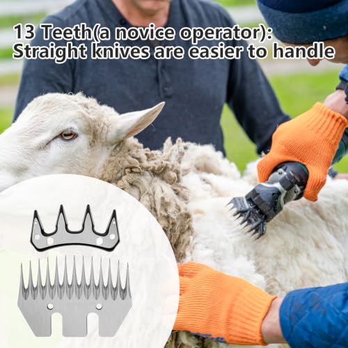 2Pcs Shearing Cutting Blade, 13 Tooth Sheep Shear Part, Stainless Steel Sheep Clipper Blade, Versatile Shearing Replacement Blades for Grooming Thick Coat Animals