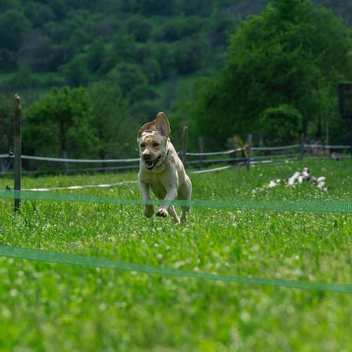 Portable Electric Fence Poly Tape 575feet Length,1-1/2inch Width,8 Strands of Stainless Steel Wire, 1 Spool - Dark Green - color: Dark Green, size: 1-1/2in x 575ft - 1 Spool