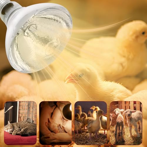 250W Heat Lamp Bulbs for Chicks Infrared Heat Lamp for Chicks （2 Packs） | 250W Infrared Heating Lamp，Even heat distribution，High-Quality Material, Heat-resistant and Distortion-free