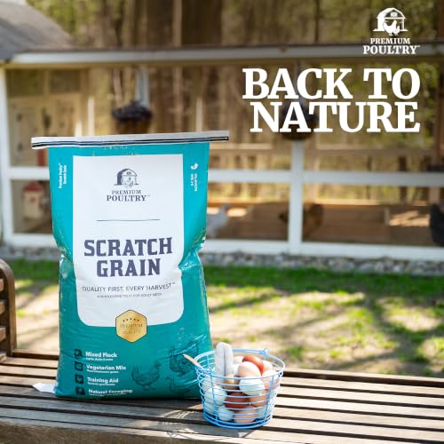 Scratch Grain for Chickens & Wildlife, 40lb, Made in USA | Natural Whole Grains, Supports Foraging & Energy, Encourages Pecking & Activity, Ideal for Mixed Poultry Flock - size: 40lb (Pack of 1), style: Scratch Grain