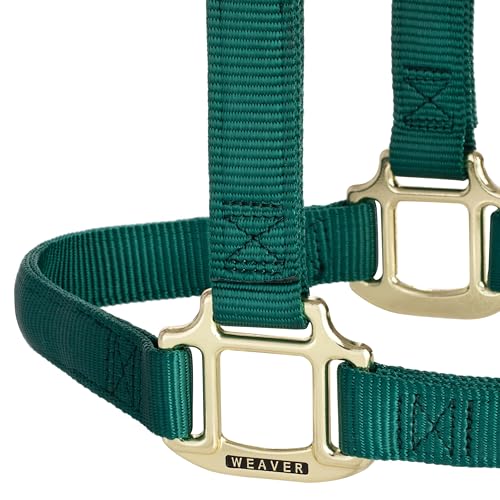 Weaver Leather Original Non-Adjustable Nylon Horse Halter, Hunter Green, Yearling