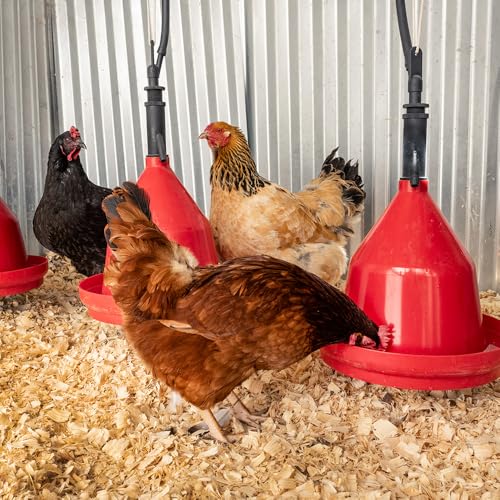 Premier 1 Suspended Dome Drinker for Chickens, Ducks, Geese & Turkeys | Gravity flow design. Hang in portable chicken tractors or coops. For pasture broilers & all flock members.