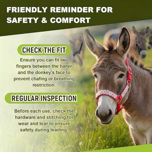 1 Set Mini Donkey Halter with Lead Rope Adjust, Red | Nylon Head Collar, Cute and Stylish, for Miniature Donkey and Small Equines, Farm Ranch Pasture Outdoor, Gingham Plaid Trim - color: Red
