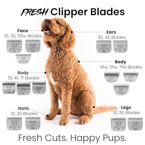Fresh 7F Dog Grooming Blade, 1/8" (3.2 mm) Cut, Fits Andis, Oster, Wahl A5 Detachable Clippers, High-Carbon Steel with Chrome Coating, Sharp Blade for Short, Uniform Coat Trimming - size: 7F