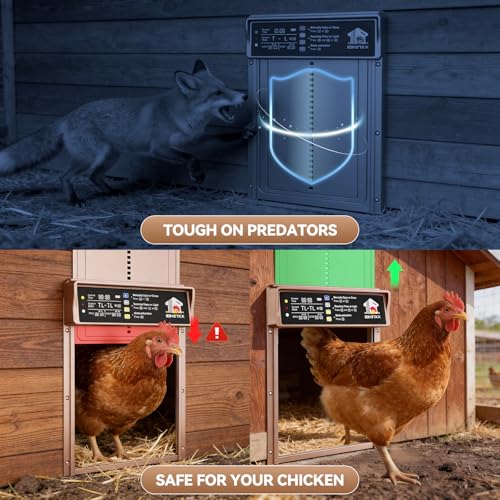 Automatic Chicken Coop Door Solar Powered, 4 Modes Automatic Chicken Door Solar, Anti-Pinch & Weather Proof Coop Door with Remote Control | Anti-Pinch，Weather Proof Coop Door with Remote，4 Modes Automatic Chicken Door - color: Gold