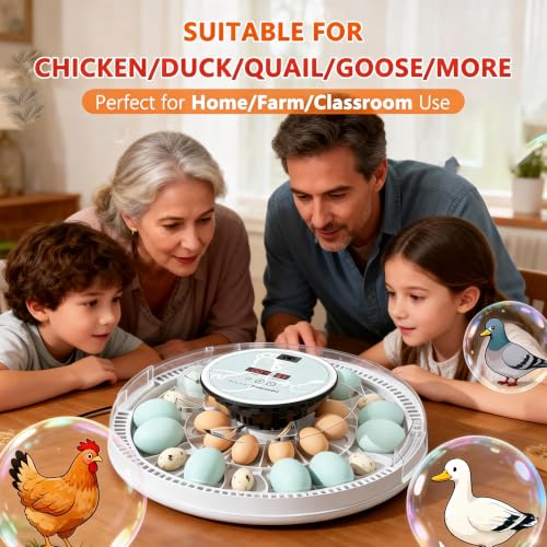 MeeF Egg Incubator for Hatching 28 Eggs, Auto Flip, Independent Atomizing Humidifier, with Duck and Goose Egg Trays (Green)