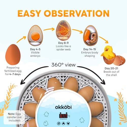M12 Incubators for Hatching Eggs - Egg Incubator with Automatic Turner and Humidity Control - 12/24 Eggs - Incubadora de Huevos de Gallina - Easy to Use and Clean - 360° View - Blue - color: Blue