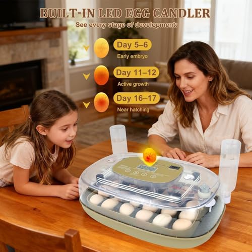 Gen III - 24 Egg Automatic Incubator, Stage-Based Adaptive Humidity with Auto-Refill, Stable Temp Control, Flexible Spacing, Adjustable Auto Turning & Lockdown, Custom Incubation Days, Candler, Alarm - size: 24 egg-green