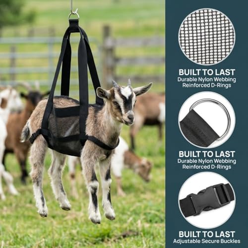 Animal Weighing Sling, Nylon Hanging Scale Bag with Adjustable Straps, 23.23 x 13.78 in, Black, for Lambs, Goats, Alpacas and Dogs