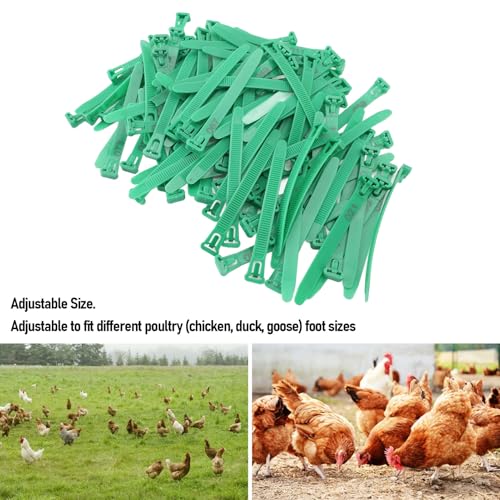 100pcs Chicken Leg Bands Rubber Chicken Identification Leg Bands Adjustable Duck Leg Bands Fadeless Numbered Poultry Chicken Identification Leg Tags for Farm Turkey Duck Chicken - color: Green