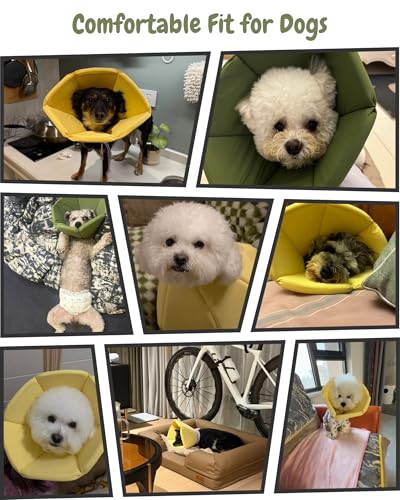 Lightweight Cat Cone Collar, Waterproof Soft Recovery E-Collar for Cats & Small Dogs, Adjustable Protective Elizabethan Collar to Prevent Licking & Biting, Easy-Clean Quick-Dry Design, Green XL Size - color: Green, size: X-Large