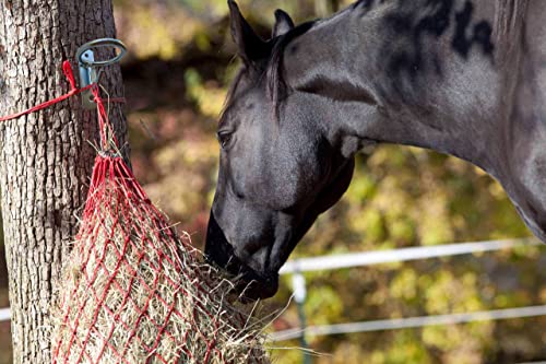 Horse Feed Bucket Hook,Water Bucket Holder Hanger for Horse Stall/Stable Supplies (2 Pack) - size: 2 Pack