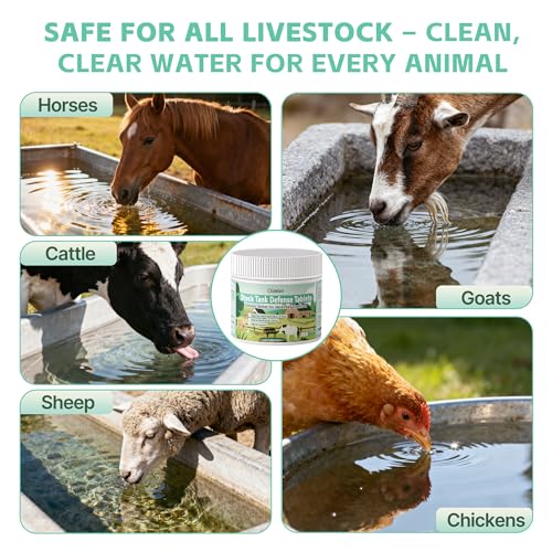 Stock Tank Defense Tablets – Stock Tank Care for Livestock Water Troughs – Helps Reduce Visible Buildup & Sludge – Easy Routine Care for Horses, Cattle, Goats & Chickens, 300 Count