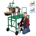 Goat Stand with Adjustable Headpiece & Legs, Goat Milking Stand with Feeder, Rails & Wheels, Stanchion for Grooming & Hoof Trimming, Sheep Stand for Shearing Heavy-Duty Steel Platform, Green - color: GREEN