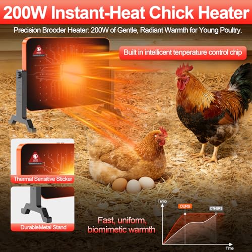 Chick Brooder Heater Plate,200 Watts Chicken Heating Brooder Plate with Adjustable Height & Temperature Display &12H Timer,Safe Chick Brooding Heater for Chicks,Quail,Ducklings