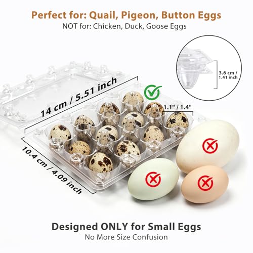 80 Pack Quail Egg Cartons 12 Grid, Heavy Duty Snap Lock Clear Plastic Small Egg Container, Stackable Bulk Tray for Quail Pigeon Button Eggs - Not for Chicken Eggs