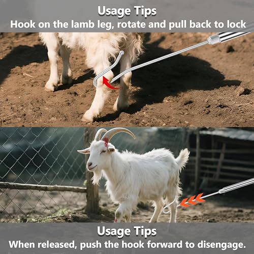 Goat Sheep Catcher Hook, 304 Stainless Steel Sheep Leg Hook, Length Can Be Adjusted Freely 44"48"59"63"75" Goat Grabber Tools, Shepherd Sheep Crook, Grab Them Simply and Quickly (Iron Ball)