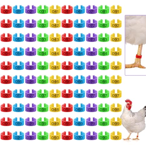 Patelai 100 Pieces 16 mm Chicken Leg Rings with 5 Colors Numbered Chicken Leg Bands Colorful Poultry Clip on Bands Ankle Rings for Ducks Chicks Guinea Pigeons Goose - size: 0.63 x 0.39 Inch