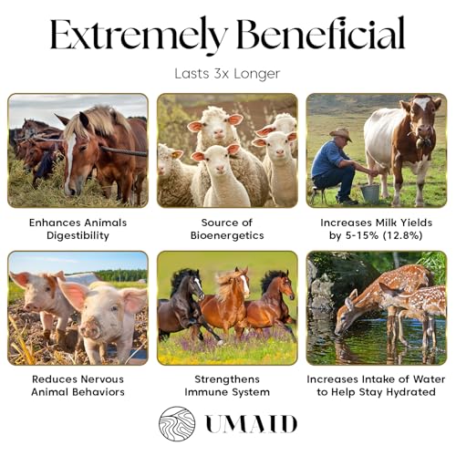 UMAID Himalayan Salt Lick 3 lbs On Rope for Horse, Deer, Goat, and Livestock Animals - Himalayan Salt Block 6 Pack - size: 3 Pound (Pack of 6)