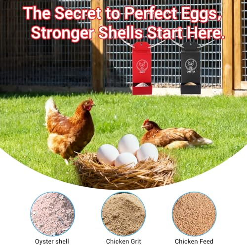 2-Pack Metal Chicken Grit Feeder & Oyster Shell Feeder with Lid - Hanging Gravity Poultry Feeder for Chickens, Ducks, Quail - Rain Proof Chicken Coop Accessories - Wall Mount Chicken Feeders No Waste