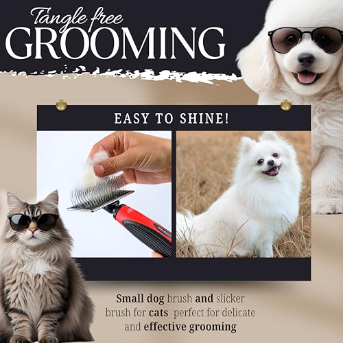 Mini Brush for Dogs and Cats - Coated Tips Massage Skin - Long Pins Remove Mats, Tangles in Long and Poodle Fur - size: Mini Brush