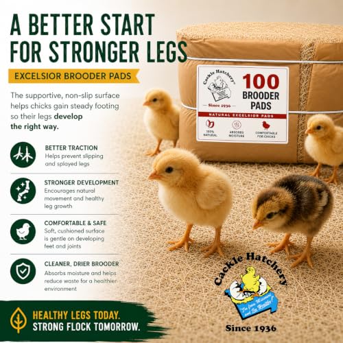 Cackle Hatchery Excelsior Brooder Pads for Chicks (100 Pack) - 9"x12" Aspen Excelsior Pads for Lining Chick Brooders - size: 100
