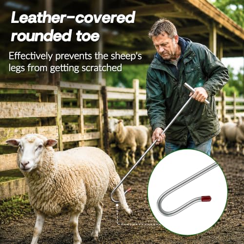 Sturdy Goat & Sheep Stand – Portable Livestock Stand with Bottom Hook, Adjustable Height for Milking, Shearing, Hoof Trimming & Grooming, Fence Mount for Farm & Ranch
