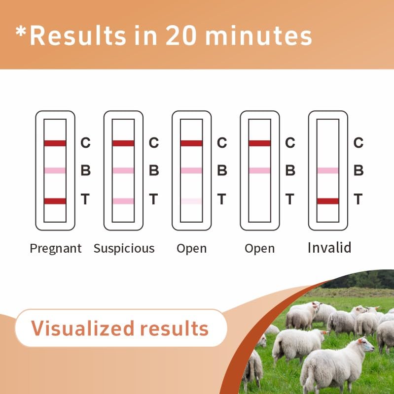 [10 Pack] Sheep/Goat Pregnancy Rapid Test Kit: All-in-One Solution for Early Detection at Home or Farm