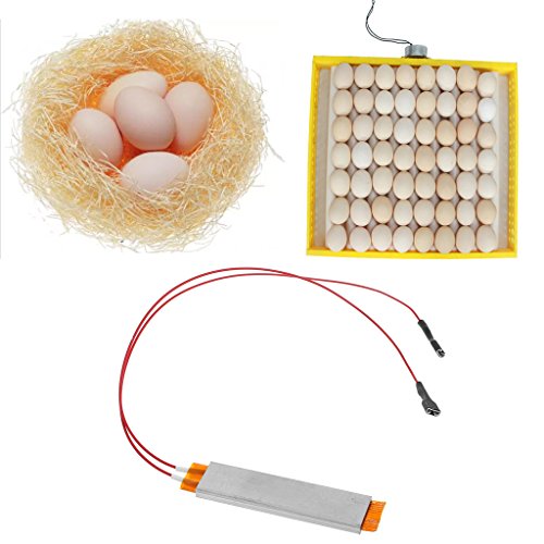 Heating Incubator Heater Element Plate for Egg Incubator Accessories 110V 220V