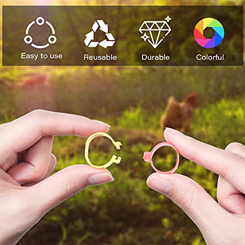 Patelai 100 Pieces 16 mm Chicken Leg Rings with 5 Colors Numbered Chicken Leg Bands Colorful Poultry Clip on Bands Ankle Rings for Ducks Chicks Guinea Pigeons Goose - size: 0.63 x 0.39 Inch