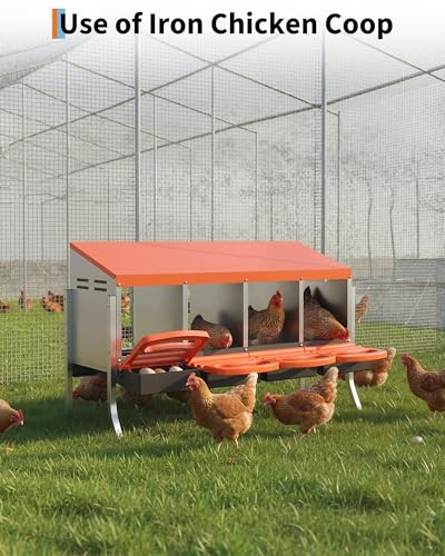 Metal Chicken Nesting Box with Easy-Collect Tray & Lid – 3/4/2x2 Compartment Heavy Duty Roll Away Nesting Boxes for Chickens, Wall Mount or Freestanding, Galvanized Steel Hen Laying Box for Coop