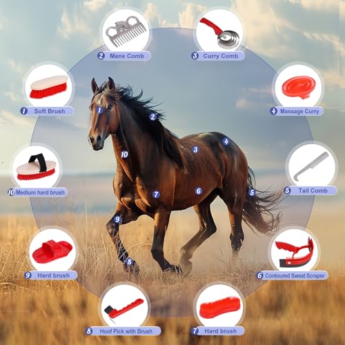 Horse Grooming Kit, 10pcs Horse Brushes & Cleaning Tool Set | Includes Tote Bag, Sweat Scraper, Curry Comb, Brush, Hoof Pick, Livestock Bathing Supplies Equine Care Supplies