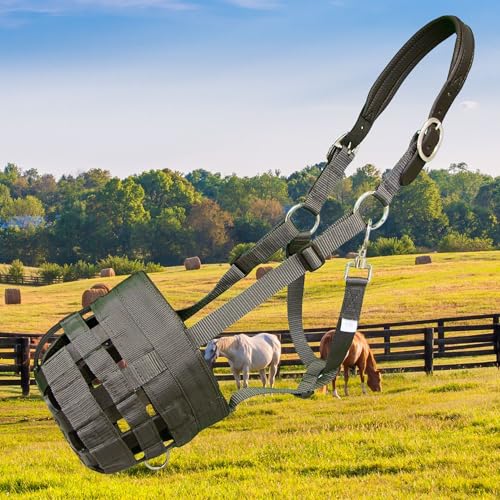 Best Friend Deluxe Leather Crown Grazing Muzzle - Horse Muzzle with Attached Halter, Adjustable, Breakaway, Lightweight, Ventilated, for Controlled Grazing - Dark Grey, Cob Size - size: Cob