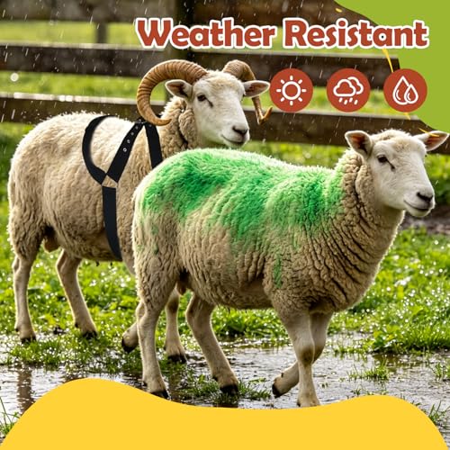 1 pcs Mark Harness Crayons for Sheep & Goat Breeding Marking Harness,Vivid and Long Lasting (Green) - color: Green