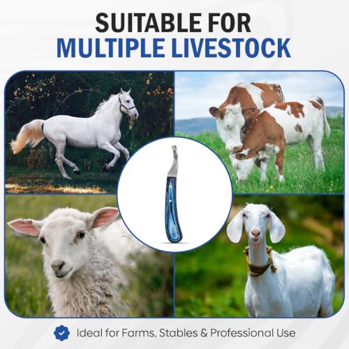 Equine Care Right-Handed Hoof Knife, J2 Stainless Steel, Farrier Tool | Right- or left-handed hoof knife for horses, goats, sheep and cattle; J2 stainless steel curved blade; 9 in overall